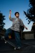 Balancing on Skateboard