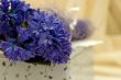 blue flowers and gift