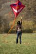 fly a kite
