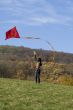 fly a kite