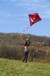 fly a kite
