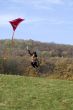 fly a kite