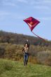 fly a kite