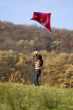 fly a kite