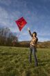 fly a kite