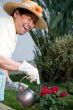 Happy Gardener