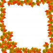 Leaf Border Background