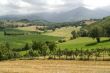 Vineyards between Rieti and Terni