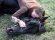 horse laid down and teen