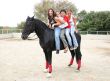 four teens on stallion