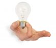 Male hand holding lbulb