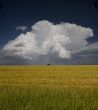 Field and storm