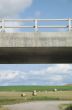 concrete overpass