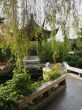 path through asian garden