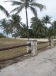 path by a tropical beach