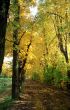 Autumn alley along the chanel
