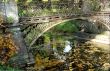 Bridge and fallen leaves