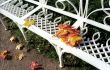 Garden bench with maple leaves
