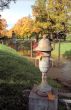 Old part of autumn park