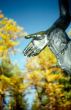 Open hand of park sculpture
