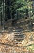 Stairway in the old park
