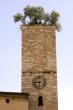 Ancient tower with bells and plants