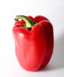 Sweet pepper