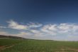 landscape with grassland and clouds