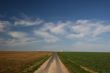 footpath, fields and cirrus clouds