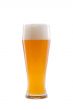 bavarian wheat beer