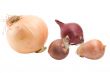onions
