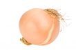 onion