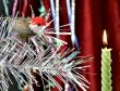 decorative candle and birdy