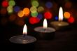 Holiday light