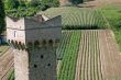 Umbria - Tower and fields