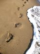 Footprints