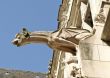 Medieval gargoyle