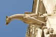 Medieval gargoyle
