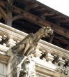 Medieval gargoyle