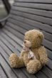 Lost Teddy