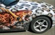 Leopard car aerography
