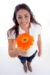 lovely girl showing orange gerbera flower