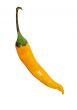 Yellow Pepper