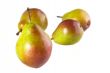 Seckel Pears