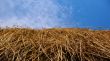 haystack and blue sky