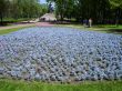 Park in springtime