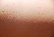 HUMAN SKIN DETAIL
