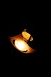 LIGHT BULB