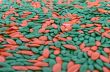 Colored seeds