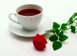 Mug and a scarlet rose